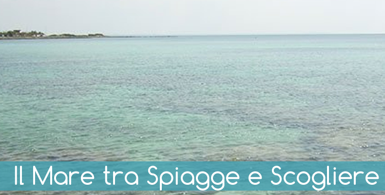 Il Mare tra Spiagge e Scogliere