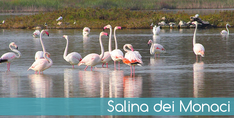 Salina dei Monaci